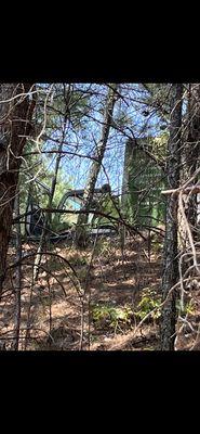 Southern Elegance Design and Landscape