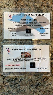 Vision Safety Consulting