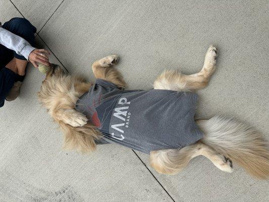 Richfield Animal Medical Center