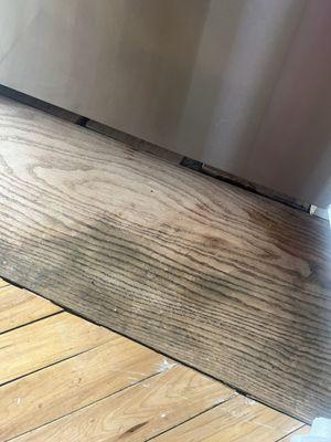 Water leaked under my wood floors because of faulty dishwasher.