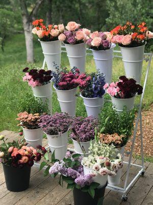 Green Valley Flower Farmette