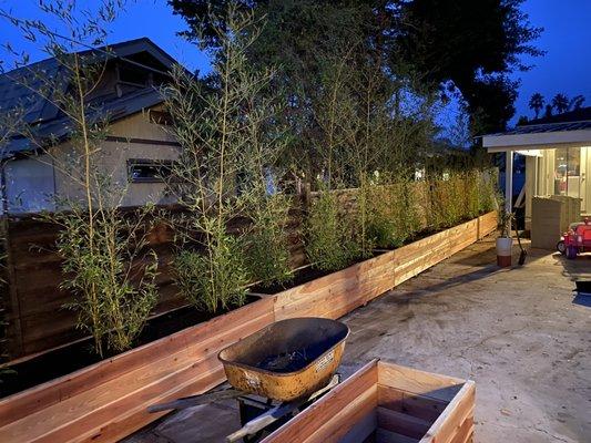 Paso Bamboo Farm and Nursery