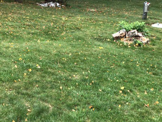 Herriges Lawn & Landscaping