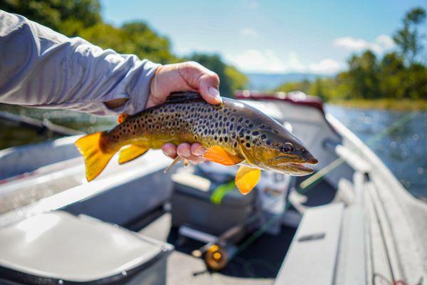 High Flying Flies Guide Service