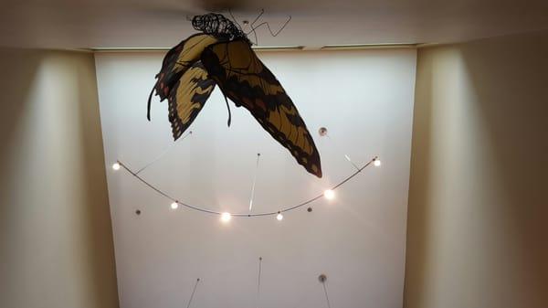 The Dentists at Brinton Lake Affiliated with The Smilist Dental