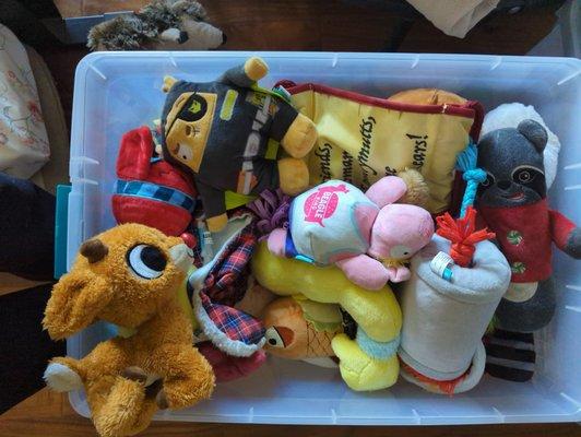 Breezy Acres Boarding Kennel