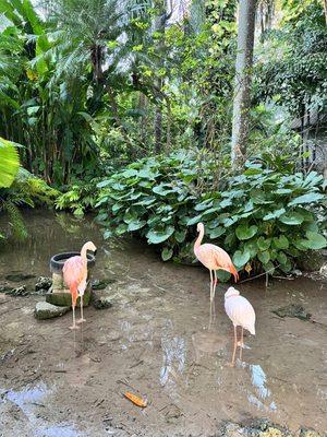 Historic Walton House