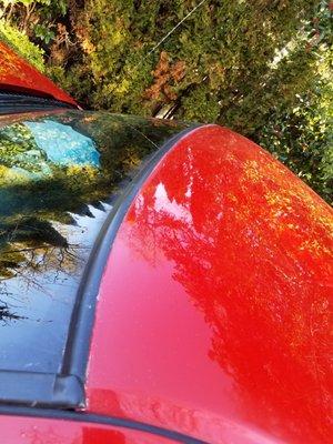 Bravo Auto Body
