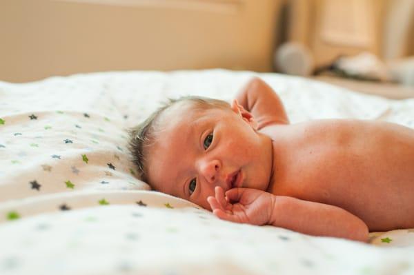 Howl & Rose Photography