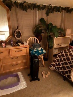 Regency Heights Co-Op