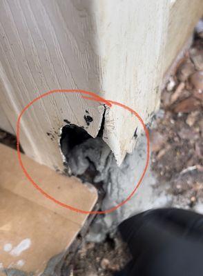 This is the hole that berret missed where rats were getting into an attic.