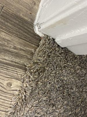 The carpet at move in, you could lift that up to see wooden pieces and nails underneath. The carpet is obviously super old and gross.