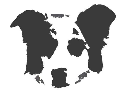 Canine Coach Behavior Solutions