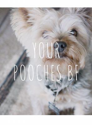 Meet Ralph, our website model and friend