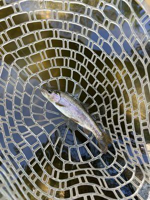 His and Her Fly Fishing Shop