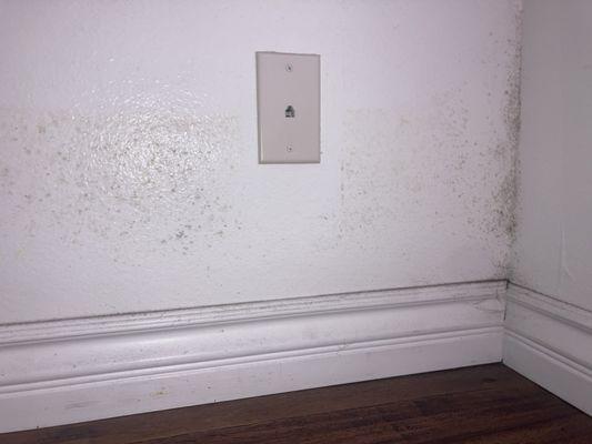 Bavarian Village Apts