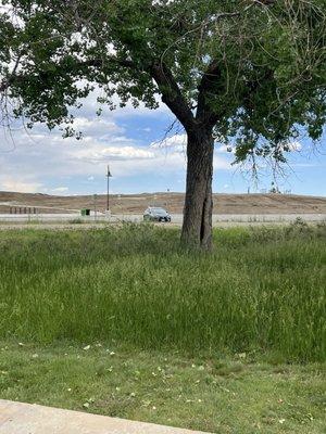 Anthem Community Park