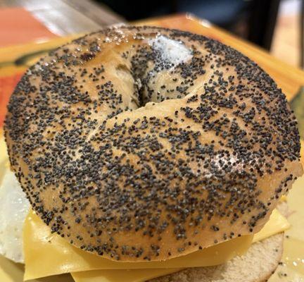 The Soapy Bee Country Store