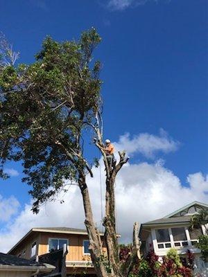 Kauai Elite Landscaping Services