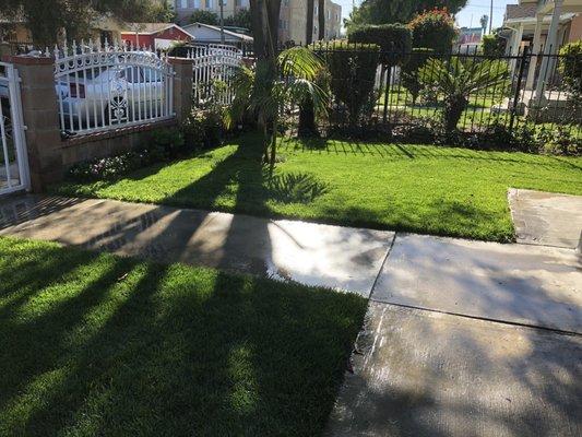 Alvarado's Landscaping