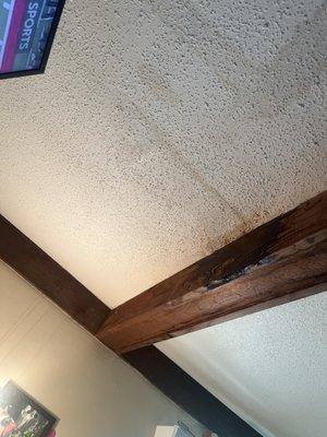 The Georgetown Apartments