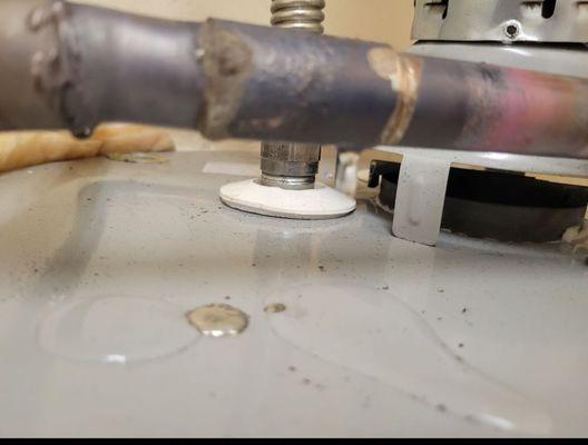 209 Appliance Repair Co