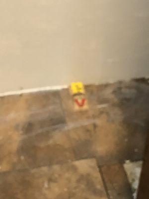 X-Terminators Pest Management