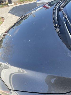 Post "car wash" from Solar Car Wash.