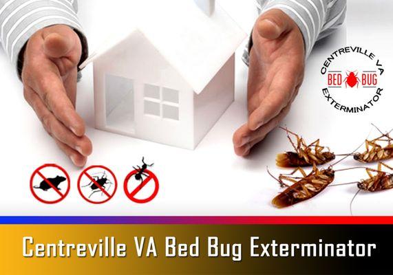 Centreville VA Bed Bug Exterminator