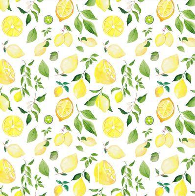 Busy Girl Cleaning Services