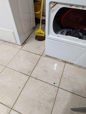 They just leave a mop out for you to clean the dirty floor.