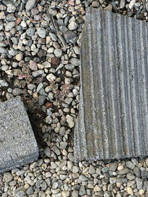 Beautiful View Window Cleaning