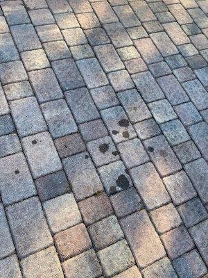 MJ'z Tree and Landscaping Service