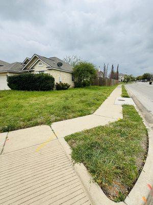 Texas Lawn Solutions