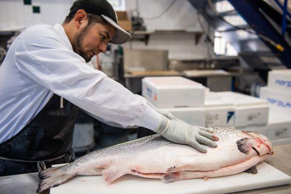 Freund's Fish Market