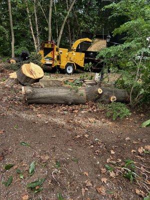 Antonio Landscaping Services