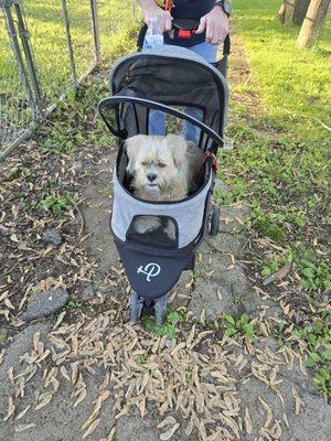 Mayfair Animal Hospital