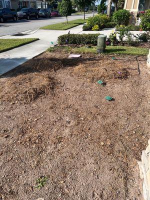 3 stumps that were not removed.