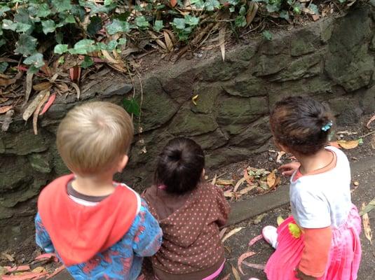 Baby Steps Nature School