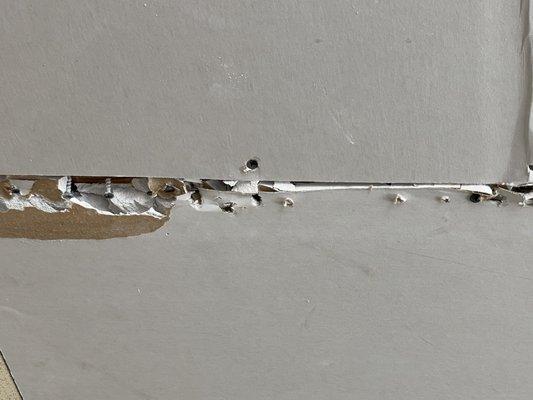 AZ Desert Painting and Drywall