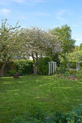 Majestic Touch Tree Service