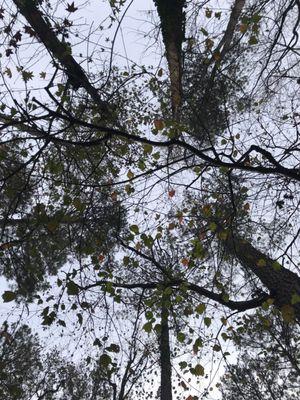 Bernard Halpern Park