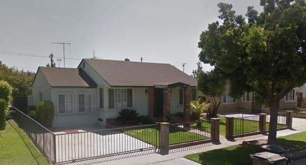 Lety Lizards Playskool