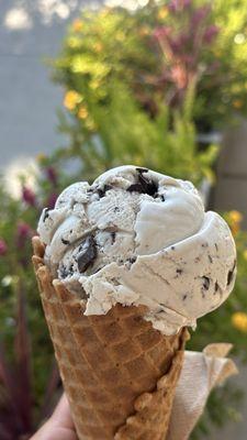 Vegan Mint Chocolate Chip Icecream in a Vegan and Gluten Free Waffle Cone