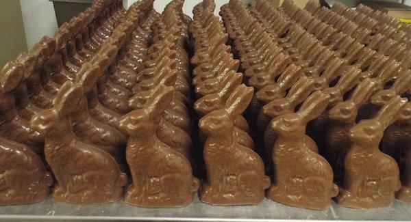 March 15th 2020 Tour Our Chocolate Factory 1pm to 4pm! 8 Kendrick Rd Wareham MA 02571