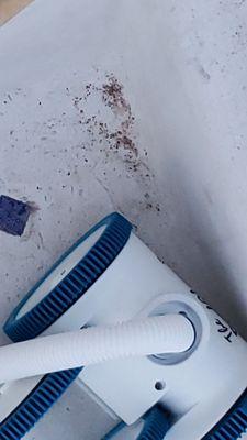 American Pool Service