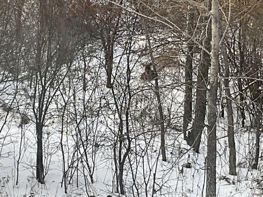 Canterbury House Apartments - Jackson