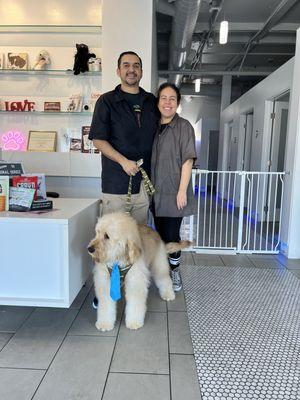 Animal House Pet Grooming