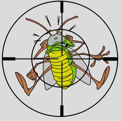Pest Control Experts