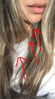 Silhouette Hairstyling